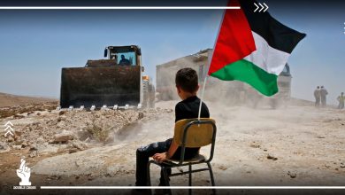 ضد التطبيع والخيانة.. مشاهير السوشيال ميديا في مصر يناصرون القضية الفلسطينية
