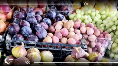 سارق محتل.. سفير دولة الاحتلال بالإمارات يروج لفواكه المستوطنات