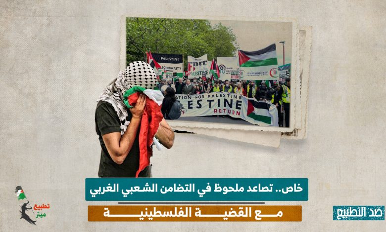 خاص.. تصاعد ملحوظ في التضامن الشعبي الغربي مع القضية الفلسطينية