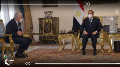 زيارات متتالية.. وزير خارجية الاحتلال يلتقي نظيره المصري والسيسي في القاهرة