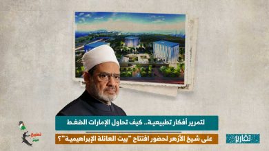 لتمرير أفكار تطبيعية.. كيف تحاول الإمارات الضغط على شيخ الأزهر لحضور افتتاح "بيت العائلة الإبراهيمية"؟