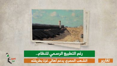 رغم التطبيع الرسمي للنظام.. الشعب المصري يدعم أهالي غزة بطريقته
