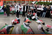 مبادرة نسائية مغربية لوقف الحرب على غزة